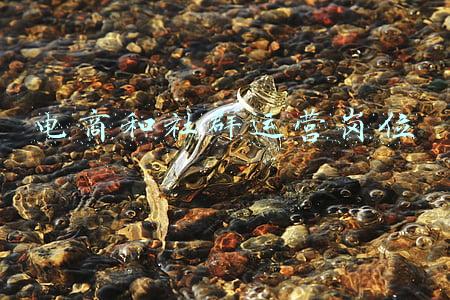 电商相关的岗位群(拼多多无货源店群，最简单的电商模式，副业比主业赚得还多)