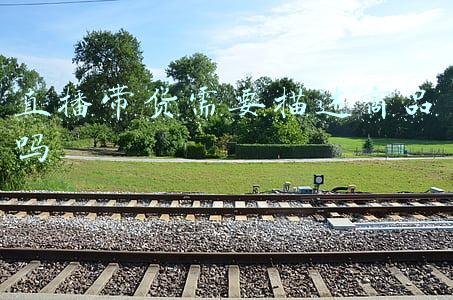 直播带货都有哪几种形式(直播带货，还有什么新花样？)