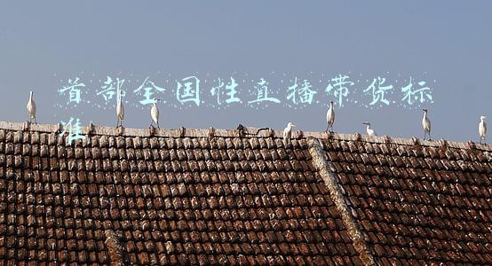 直播带货种类(各大主流直播平台主要特征、要点及适合品类对比)