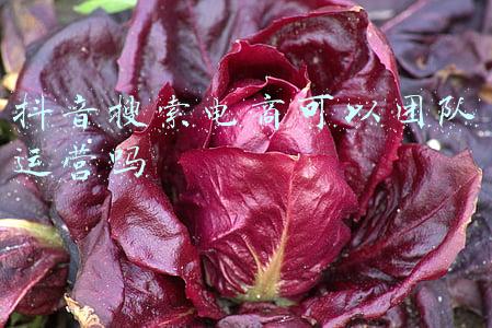 深圳电商运营团队(深圳市携创高级技工学校——电商企业项目班拿着奖金过寒假)