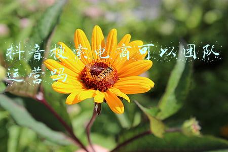 怎么找电商运营团队(有哪些靠谱的淘宝/天猫/电商代运营公司？杭州代运营)