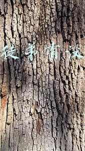 郭德纲收徒直播(侯耀文收徒郭德纲，是为了把他当枪使？相声演员汪洋的直播惹争议)