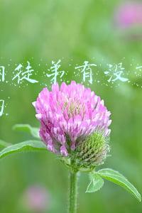 郭德纲节目里收小徒(出走弟子回归表忠心 郭德纲：知错能改善莫大焉)