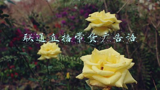 为直播带货写的广告推广语(聚卓：直播推广文案怎么写？)