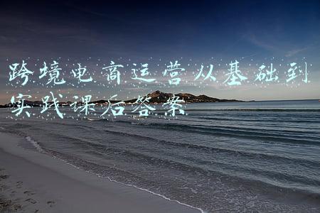 跨境电商运营从基础到实践课后答案