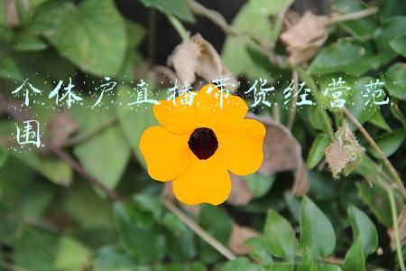直播带货注册什么类型公司(做直播必须申请注册哪些企业？)