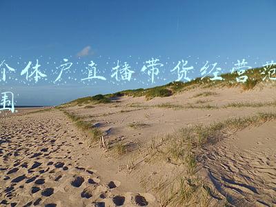 个体户经营范围怎么写(建筑劳务公司营业执照经营范围怎么填？)