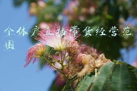 个体户经营范围一览表(老板速看：你清楚个体工商户有哪些财税点吗？)