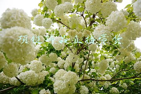 项链饰品直播带货