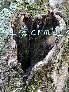 电商crm是什么意思啊(一篇文章教你搞懂CRM的分类)