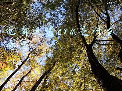 电商运营是什么(网店运营是什么)