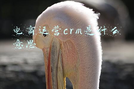 电商运营uv是什么意思(什么叫GMV、UV价值、ACU，直播电商名词解释大全)