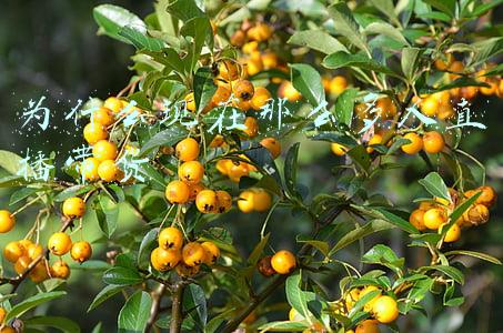 为什么现在那么多人直播带货