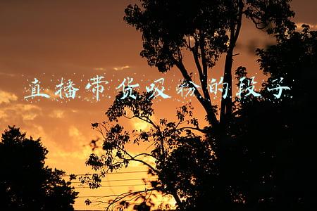 直播带货粉丝(1000多粉丝的主播咋能月赚20万元？郑州23岁直播带货小伙揭秘)