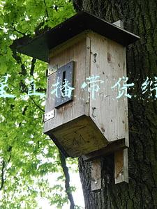 明星直播带货综艺