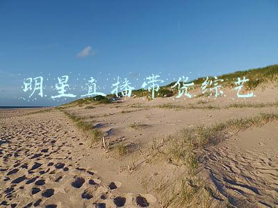 明星直播带货综艺