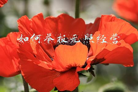 无证无照经营如何举报《无证经营怎么举报》