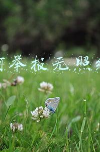 举报无照经营打什么电话《无证经营打什么电话举报》