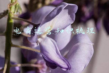 电商运营知识梳理