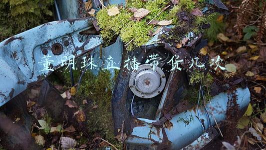董明珠第二次直播带货卖了多少钱(创纪录！董明珠直播狂卖7.03亿坐稳“带货女王”宝座)