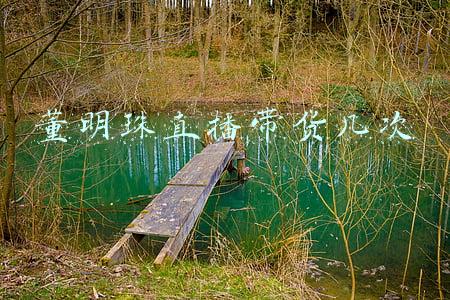 董明珠为什么要亲自带货(董明珠带货65亿，背后原因曝光：以为钱容易赚，是很多人的错觉)