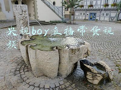 央视boy直播带货视频