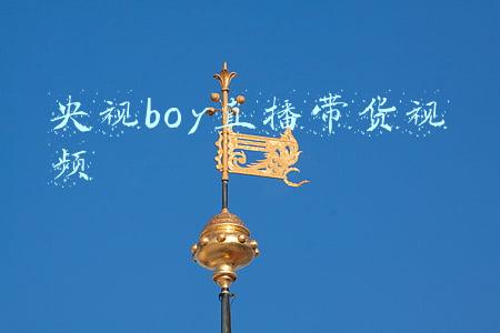 央视boy青春(央视Boys再合体，这次他们为“青春偶像”而来)