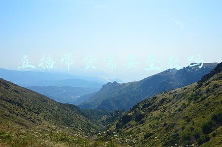直播带货注意事项和不能踩的坑(直播带货的邪门路子，都是跟20年前电视购物学的)