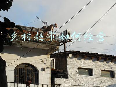 乡村振兴爱心超市 乡村振兴爱心超市物资供应