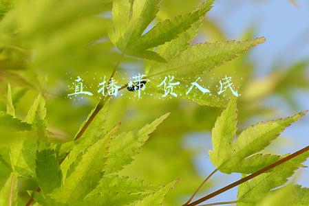 人民日报评直播带货(直播带货，“货”是关键！擦亮眼，别被直播间里的哭戏模糊了双眼)