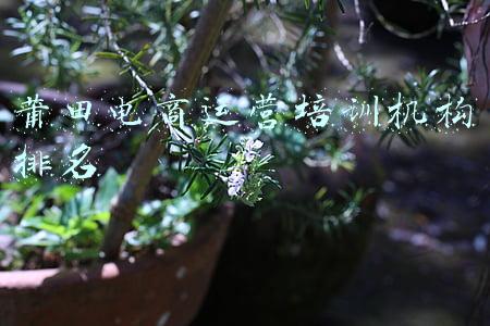 莆田哪里有电商培训(莆田秀屿区第一期电商（淘宝）直播培训班开班)