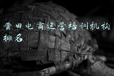 莆田电商运营培训机构排名