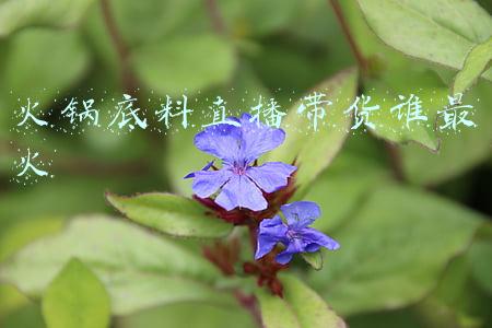 最火直播带货是谁(59岁俞敏洪直播带货农产品首秀，10分钟卖出10万！网友：打不垮的俞老师)