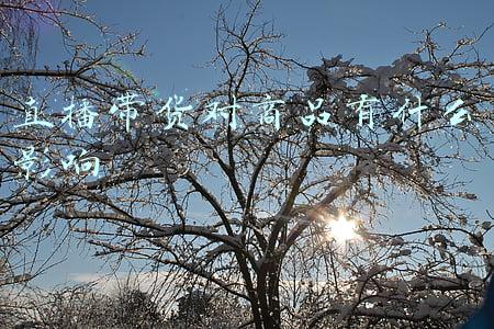 直播带货的坏处(薇娅一人独揽五条热搜，直播带货的危害可能已经超出了我们的认知)