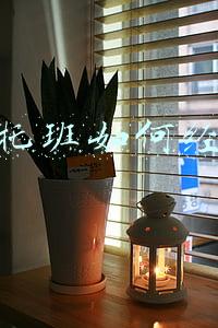 午托班怎么做账_午托班怎么做