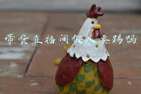 抖音直播间假人怎么弄(抖音怎么上假人)