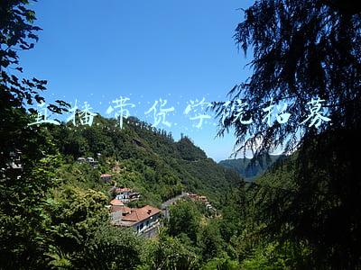 直播带货课程(当教培老师去带货，我们跟俞敏洪的直播搭档聊了聊)