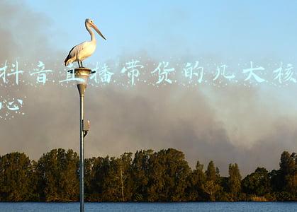 直播带货的核心是什么(直播带货就像网游 玩法才是核心)