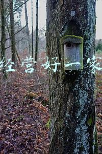 如何经营好一家公司的书(怎样才能经营好一家公司)