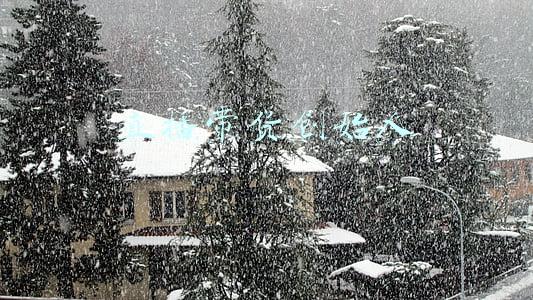 直播带货第一人开始的是谁(薇娅掉下“威亚”，直播带货如何洗牌？)