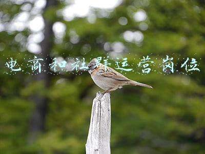 社群运营岗位做什么(社群运营攻略怎么做？是时候该解释你的社群了)
