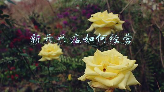 新开网店如何经营 新开网店如何经营