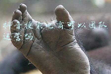 抖音团队运营是怎么做到的(如何组建私域团队实现高效增长)