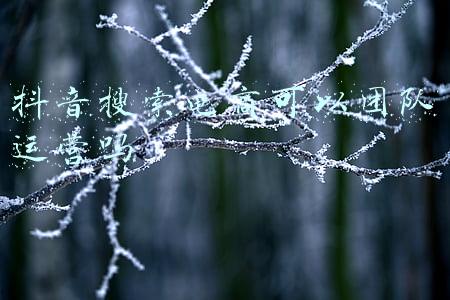 加入抖音运营团队需要注意什么(抖音运营怎么做？注意事项有哪些？)