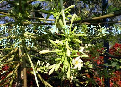 德云社直播带货(郭德纲又一次食言：承诺德云社不直播带货，被孙越再次破防)