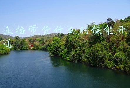 开通直播带货需要什么条件(抖音小店入驻要求，品牌如何实现直播带货？)