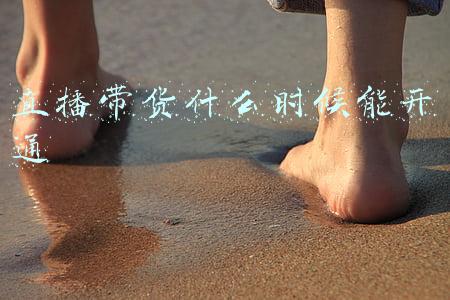 直播带货什么时候兴起的(为什么直播带货从中国开始，而不是从国外？因为海外它没网)