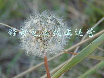 顽石电商线上课(2021年三农君读过的10本好书)