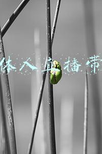 媒体人的责任与担当(慎海雄：担当起负责任媒体的时代使命，为全球运动员营造公平竞技的纯洁冰雪舞台)