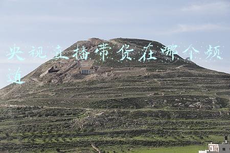 央视直播卖货(央视主持王冰冰直播卖货，自曝私下生活细节，李思思在一旁附和)